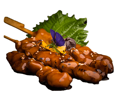 Produktbild 2 für 1 Aktion - Yakitori