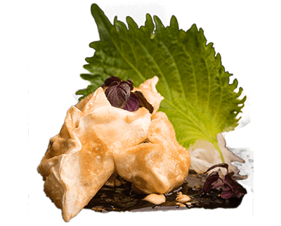 Produktbild Vegetarische Gyoza